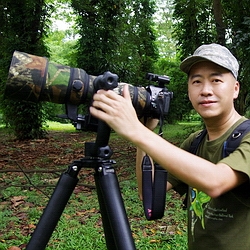 Ken Goh