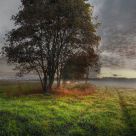 HDR