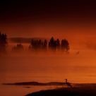 Landscapes
