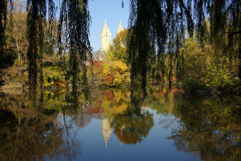 Central Park in Fall