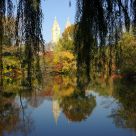 Central Park in Fall