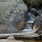 Stream