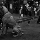 San Francisco, 2006