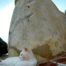 The Guardian of San Cristobal