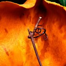 Fungus and Twig