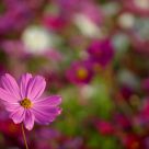 Colorful world