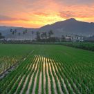 Sun rises from my home
