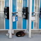 Waiting for a call