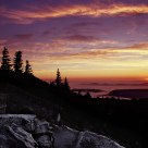 Dolly Sods Dawn