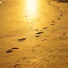 On Golden Sand