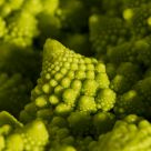 Mount Broccoflower