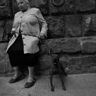 Firenze, 2005