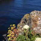 Ocean Cliff
