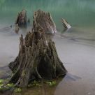 Rattlesnake Lake