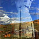 Reflection of Bodie