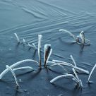 Frozen Simplicity