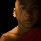 Monk in Mottled Light