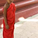 Novice