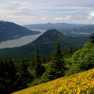The Gorge