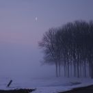 Misty