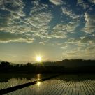 Sun rises in the coutry