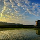 Quiet house by a farm