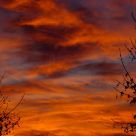 Fire in the Sky