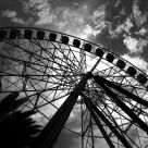 Dark Side of the Wheel