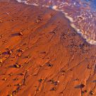 Golden Tide