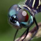 Up close and personal