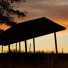 Shelter