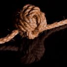 Why Knot