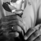 Special Olympics Rose