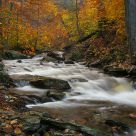 Autumn Evening in Glenoga Glen,