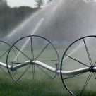 Sprinklers