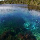 Te Waikoropupu Springs