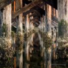 Rising tide under an old bridge.