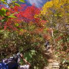 Autumn in Hida mountains