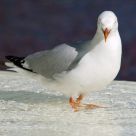 You looking at me