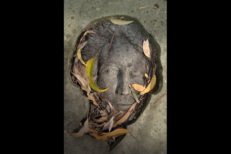 Face in the Rock