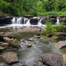 Waterfall Glen