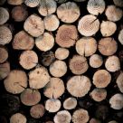 Log Pile