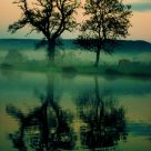 Sunrise Reflection