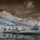 Alien Fog