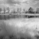 Strabrechtse Heide