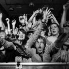 Wild Crowd