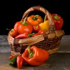Peppers in a Basket