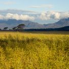 Bluff Knoll in Cloud