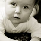 Learning to Crawl