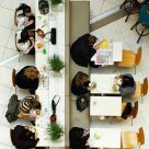 Lunch from Above